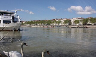 Photo N° 5