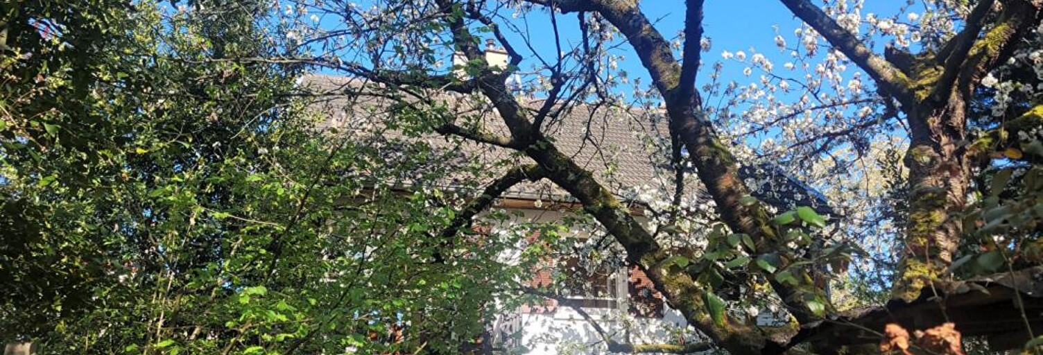 Maison 5 Pièces 125 m² à vendre à Yerres (91330)