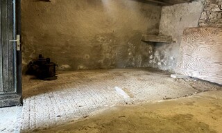 Photo N° 6