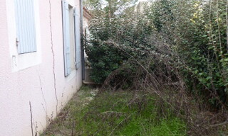 Photo N° 14