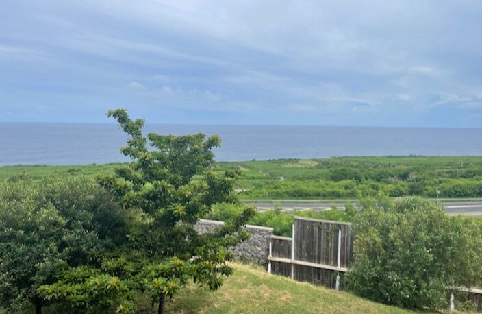 BEAU T3 AVEC VUE MER PITON ST LEU / ZAC PORTAIL  LIBRE DE TO — photo 4