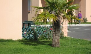 Photo N° 2