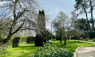 Photo N° 6
