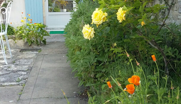 Villa / Maison 2 pièces  à vendre Brée-les-Bains (La) 17840