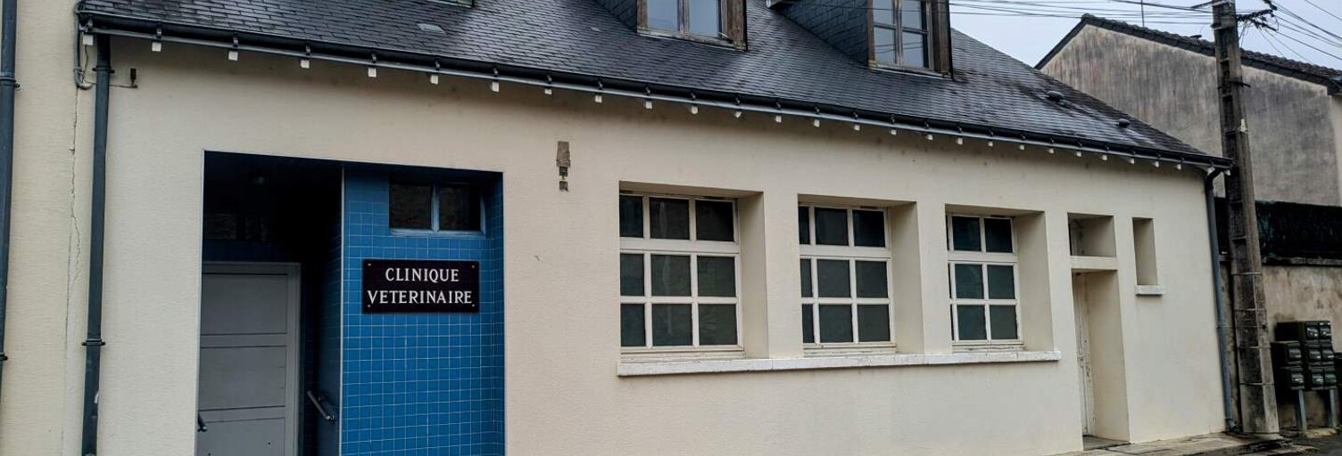 Maison 7 Pièces 179 m² à vendre à Sainte-Maure-de-Touraine (37800)