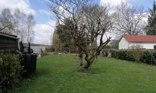 Photo N° 5