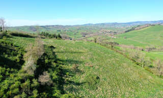 Terrain  34653 m² à vendre à Amplepuis (69550)