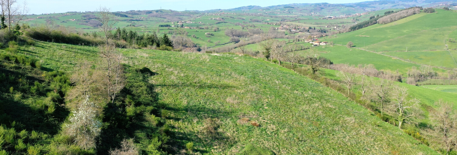 Terrain  34653 m² à vendre à Amplepuis (69550)