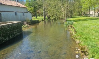 Photo N° 15