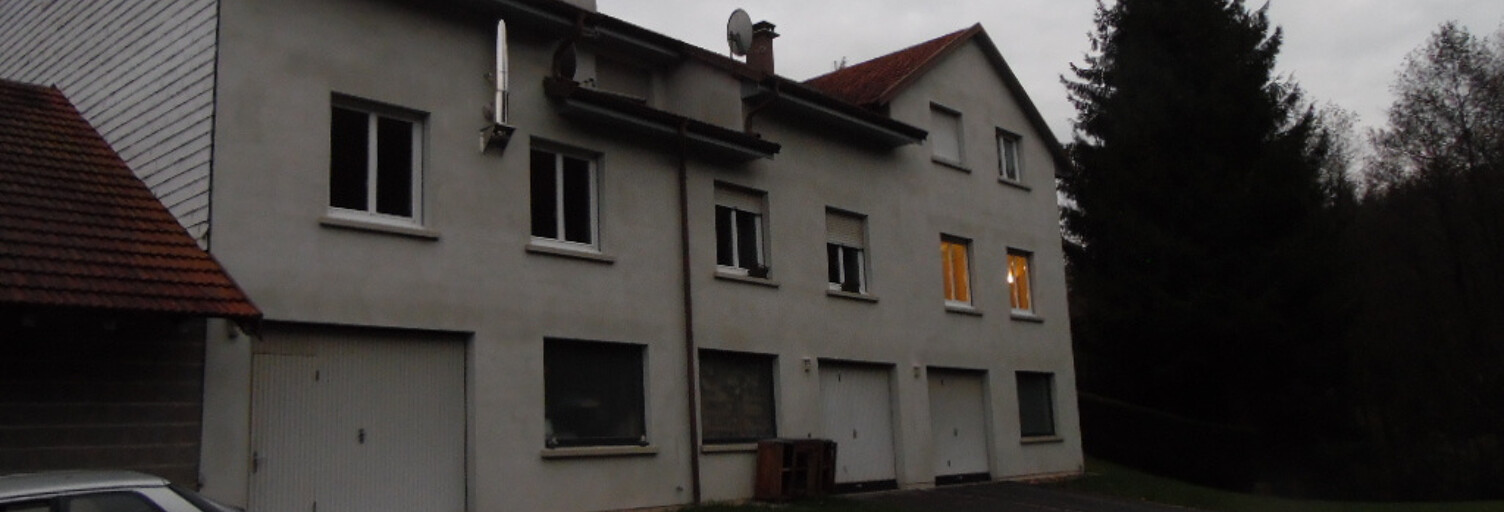 Maison 15 Pièces 570 m² à vendre à Allarmont (88110)