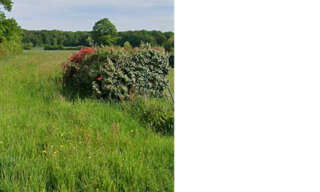 Terrain  1200 m² à vendre à Juigné-des-Moutiers (44670)