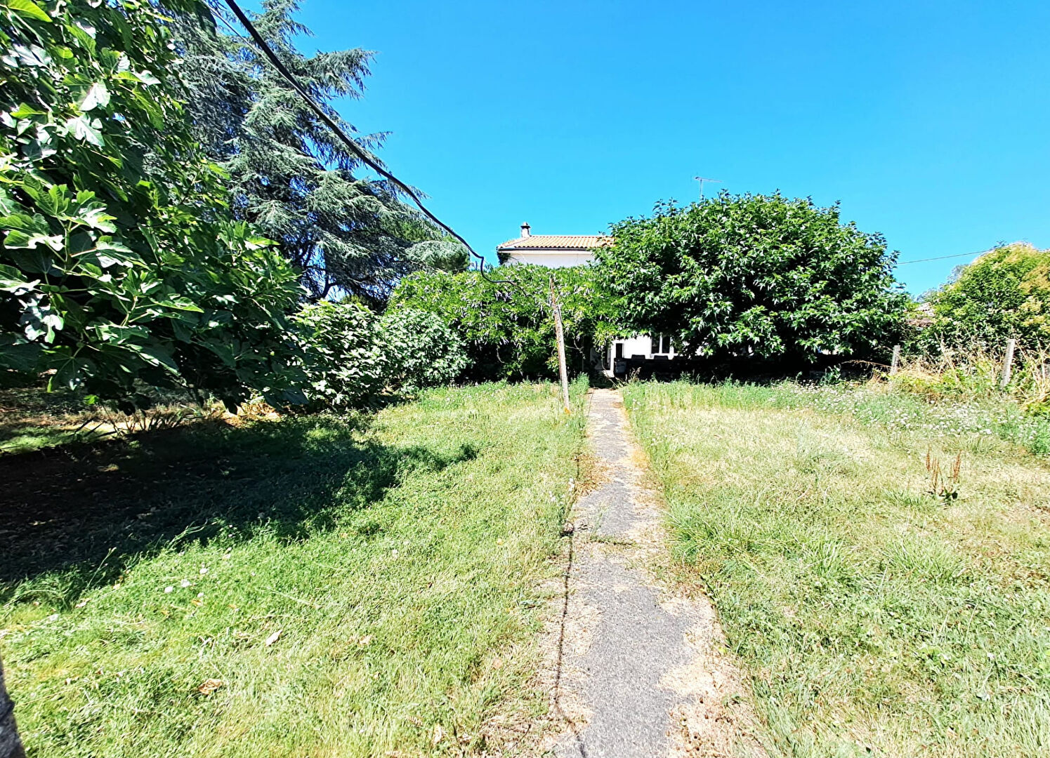 Villa / Maison  T8 à vendre Terssac 81150