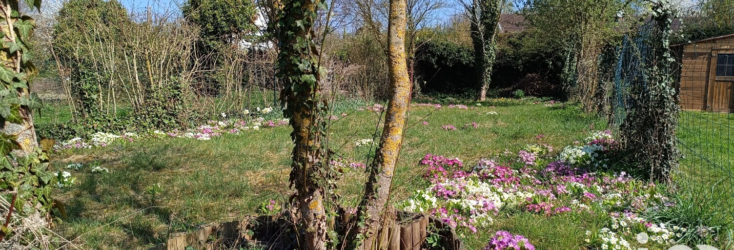 Maison 3 Pièces 56 m² à vendre à Auxi-le-Château (62390)