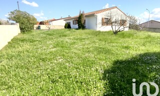 Photo N° 13