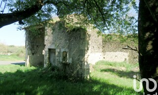 Photo N° 5