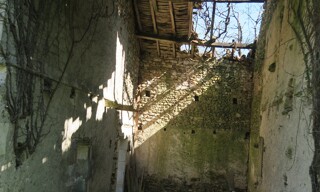 Photo N° 7