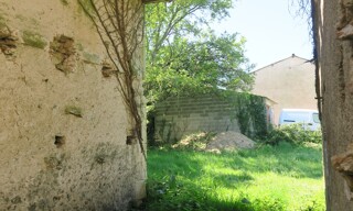 Photo N° 8