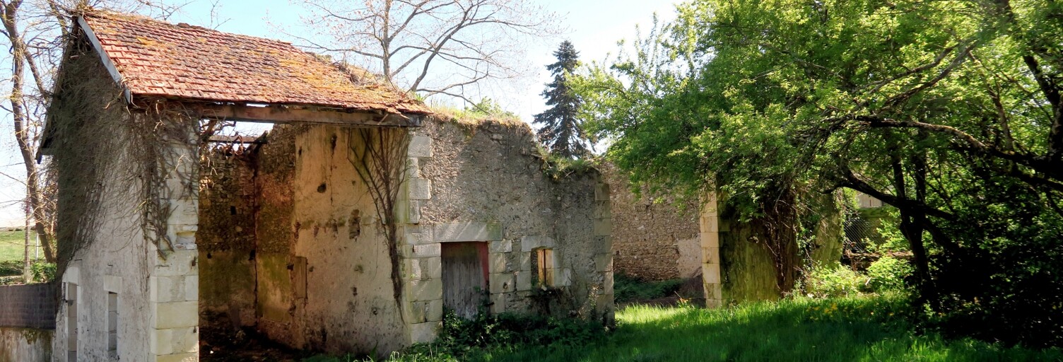 Maison 2 Pièces 50 m² à vendre à Chapelle-Viviers (86300)