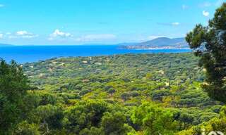 Commerce  950 m² à vendre à Cavalaire-sur-Mer (83240)