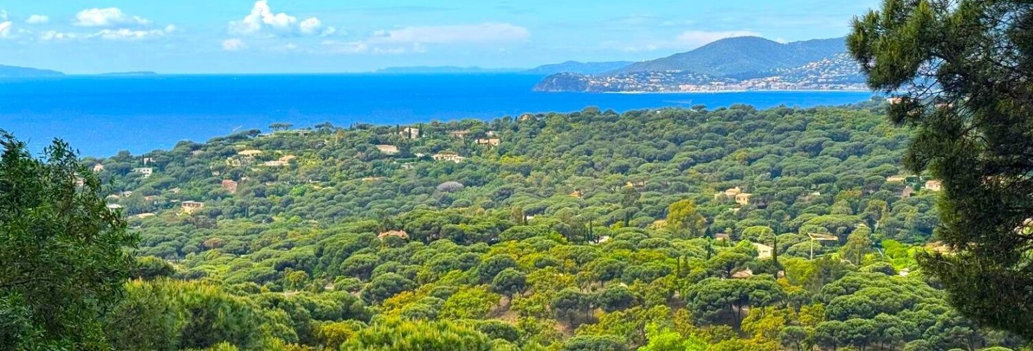 Commerce  950 m² à vendre à Cavalaire-sur-Mer (83240)