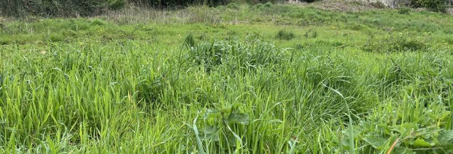 Terrain  350 m² à vendre à Angoulême (16000)