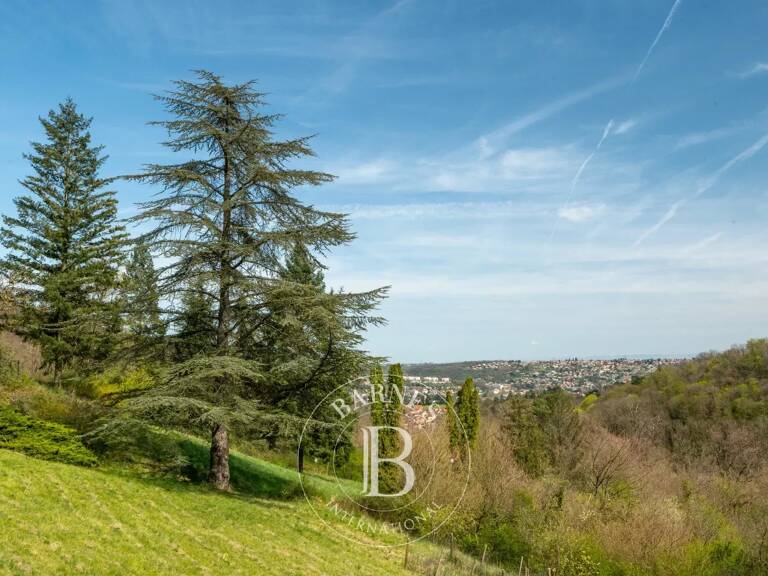 Curis au Mont d'Or - Propriété début 19ème S sur un parc de 2,7 ha -  6 chambres — photo 1