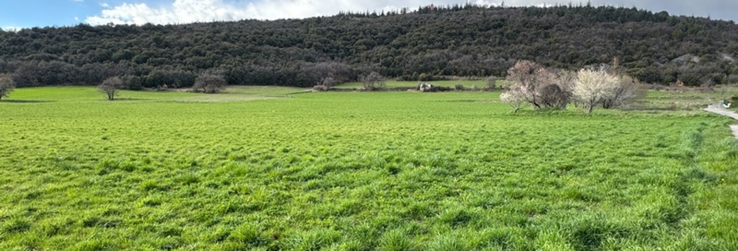 Bureau 4 Pièces 250 m² à vendre à Le Brusquet (04420)