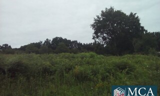 Photo N° 4