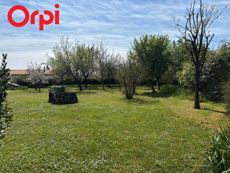 Terrain À Vendre — photo 1