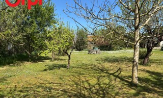Photo N° 5