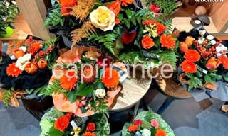 Commerce 5 Pièces 172 m² à vendre à Carhaix-Plouguer (29270)