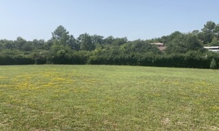 Terrain 1200 m² à construire Saint-Maximin-la-Sainte-Baume (83470)