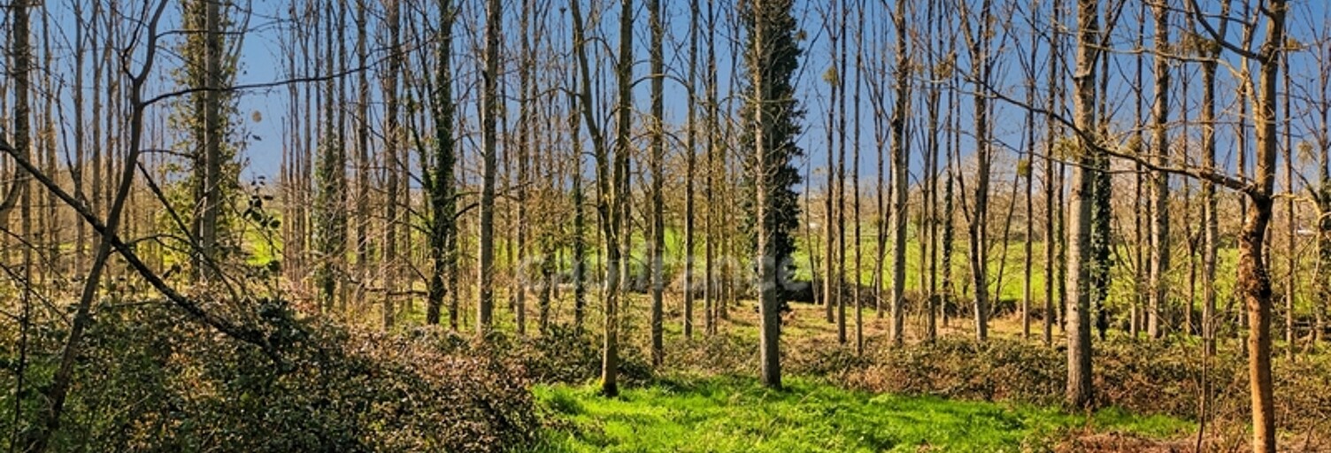 Maison  18756 m² à vendre à Pancé (35320)