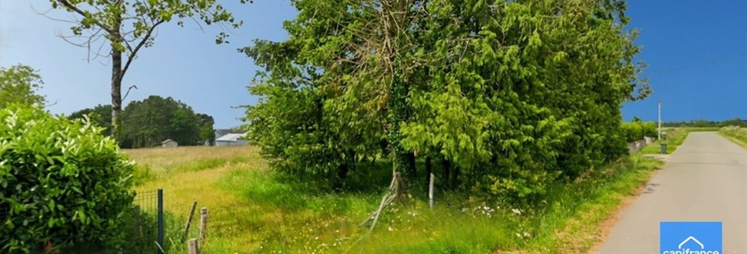 Terrain  3420 m² à vendre à Monteneuf (56380)