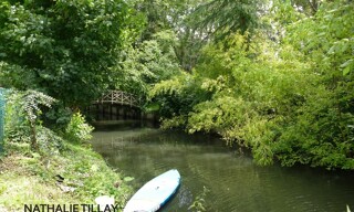 Photo N° 3
