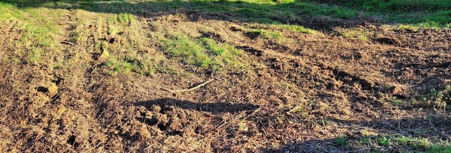 Terrain  1100 m² à vendre à Rieux (56350)