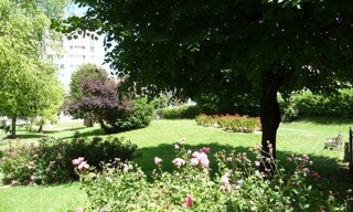 Photo N° 7