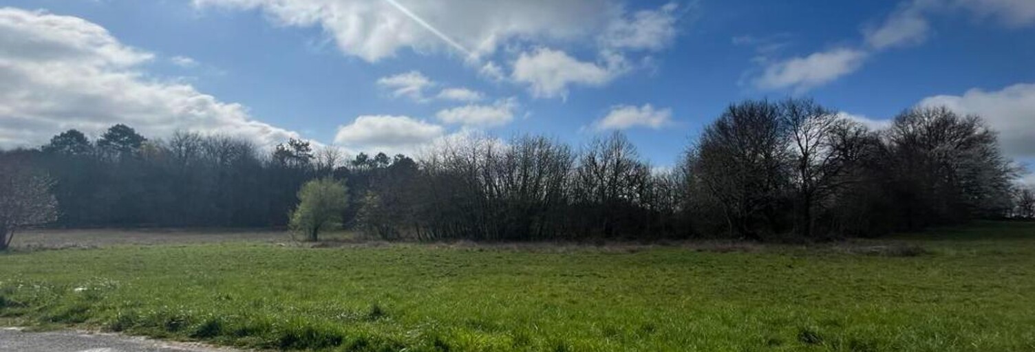 Terrain  2543 m² à vendre à Paussac-et-Saint-Vivien (24310)