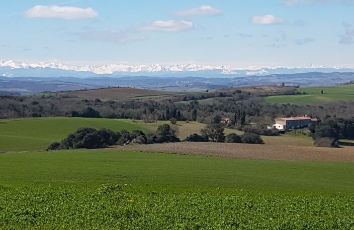 Domaine — photo 2