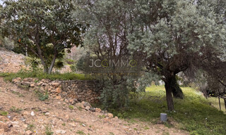 Photo N° 4