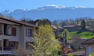 Photo N° 8