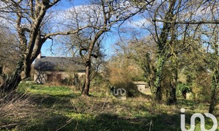 Photo N° 4