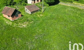 Photo N° 3