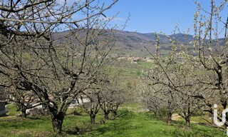 Photo N° 6