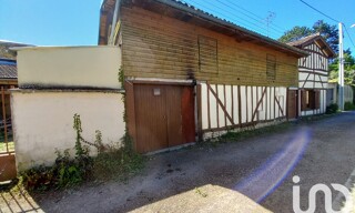Photo N° 16