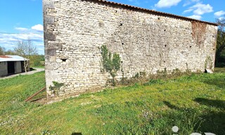 Photo N° 5