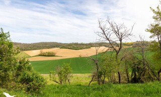 Photo N° 3