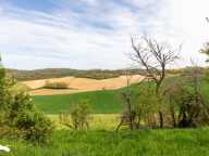 Ferme (tte) de 4 pièces principales — photo 4