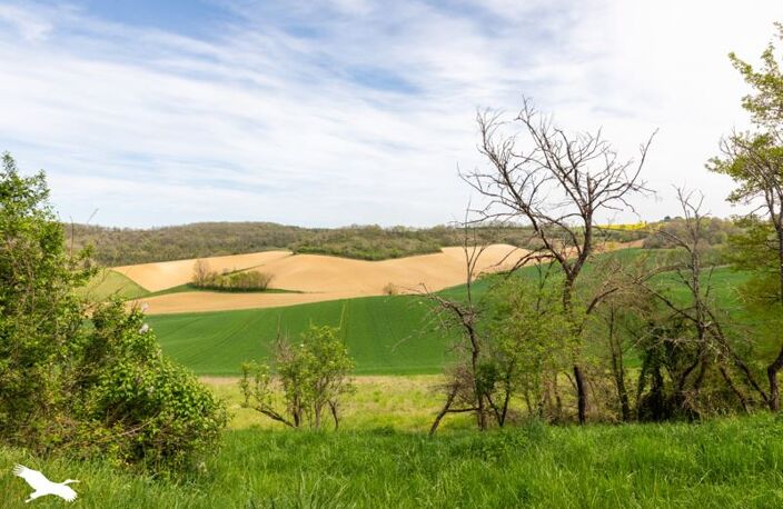 Ferme (tte) de 4 pièces principales — photo 4