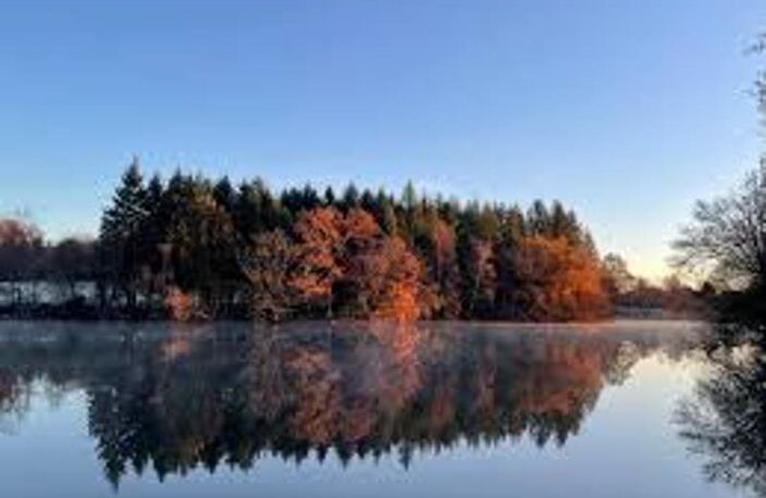 Etang de 0 pièces principales — photo 2